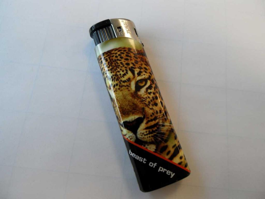 Plaatje van Zorr Leopard, 6063 - L13 B20 39019